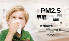 佛山辦公室除甲醛土方法 佛山新房除甲醛什么價格？
