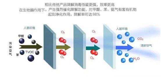 光觸媒、生物酶、空氣凈化器，哪家除甲醛公司效果好？